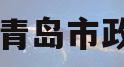 山东省青岛市政信项目