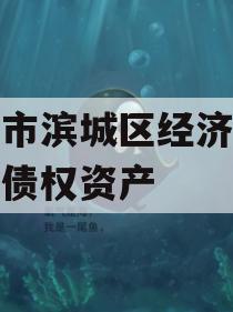 滨州市滨城区经济开发投资债权资产