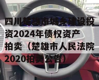 四川楚雄市城乡建设投资2024年债权资产拍卖（楚雄市人民法院2020拍卖公告）