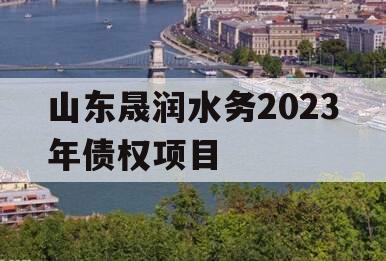 山东晟润水务2023年债权项目