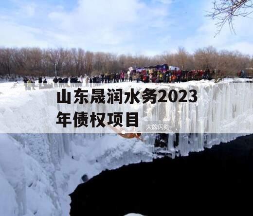 山东晟润水务2023年债权项目