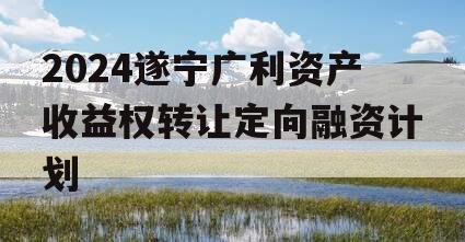 2024遂宁广利资产收益权转让定向融资计划