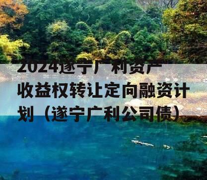 2024遂宁广利资产收益权转让定向融资计划（遂宁广利公司债）