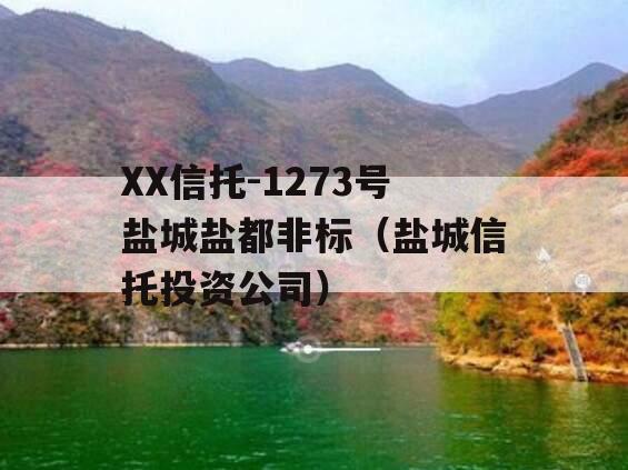 XX信托-1273号盐城盐都非标（盐城信托投资公司）