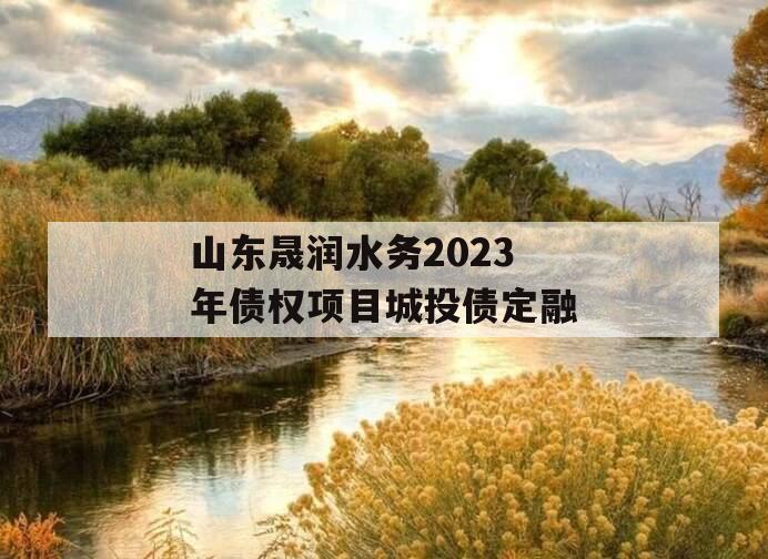 山东晟润水务2023年债权项目城投债定融