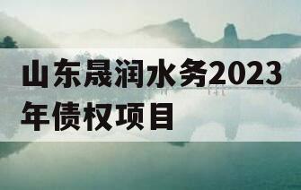 山东晟润水务2023年债权项目