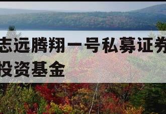 志远腾翔一号私募证券投资基金