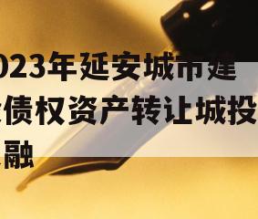 2023年延安城市建投债权资产转让城投债定融