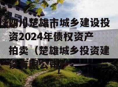 四川楚雄市城乡建设投资2024年债权资产拍卖（楚雄城乡投资建设有限公司）