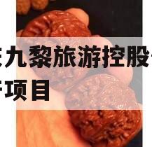 重庆九黎旅游控股债权资产项目