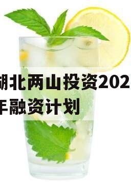 湖北两山投资2023年融资计划