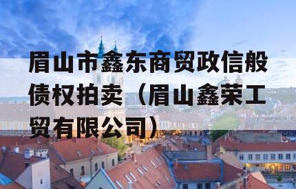 眉山市鑫东商贸政信般债权拍卖（眉山鑫荣工贸有限公司）