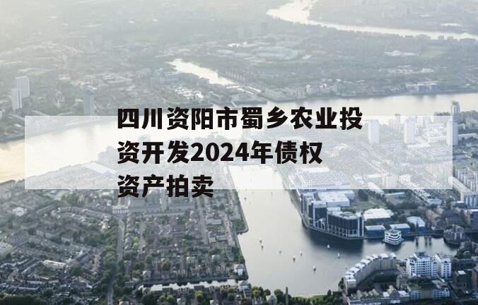 四川资阳市蜀乡农业投资开发2024年债权资产拍卖