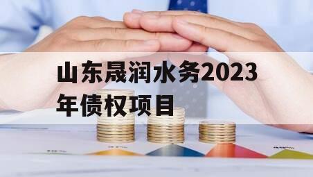 山东晟润水务2023年债权项目