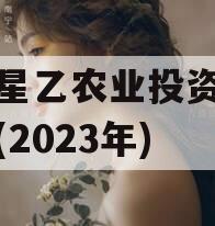 江油星乙农业投资债权资产(2023年)