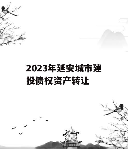 2023年延安城市建投债权资产转让