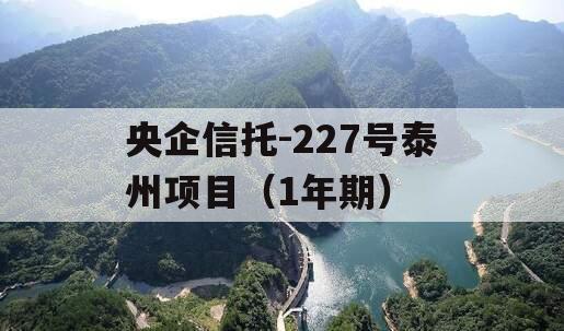 央企信托-227号泰州项目（1年期）