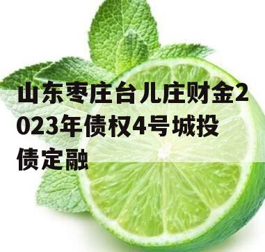 山东枣庄台儿庄财金2023年债权4号城投债定融