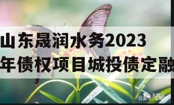 山东晟润水务2023年债权项目城投债定融