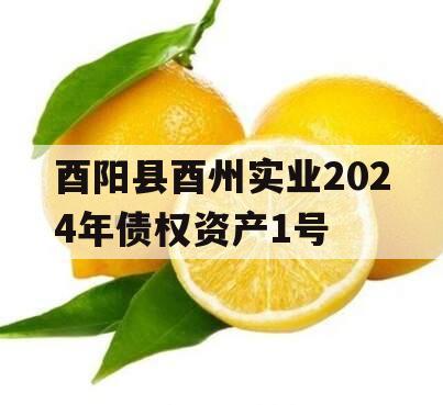 酉阳县酉州实业2024年债权资产1号