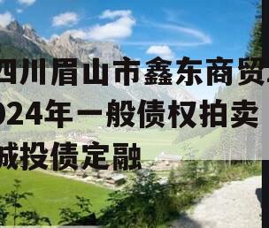 四川眉山市鑫东商贸2024年一般债权拍卖城投债定融