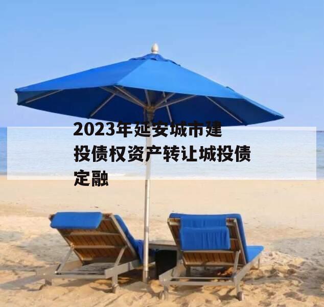 2023年延安城市建投债权资产转让城投债定融