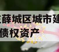 枣庄薛城区城市建设2023债权资产