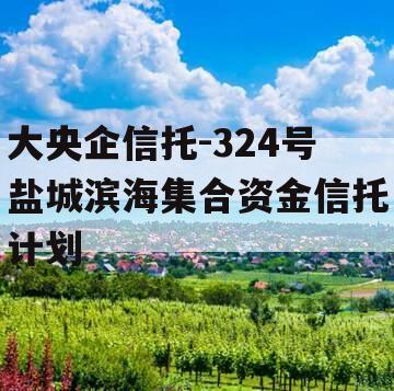 大央企信托-324号盐城滨海集合资金信托计划