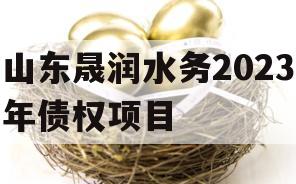 山东晟润水务2023年债权项目