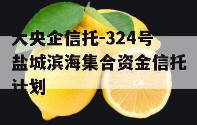 大央企信托-324号盐城滨海集合资金信托计划