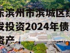 山东滨州市滨城区经济开发投资2024年债权资产