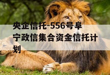 央企信托-556号阜宁政信集合资金信托计划