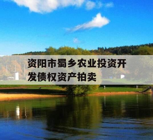 资阳市蜀乡农业投资开发债权资产拍卖