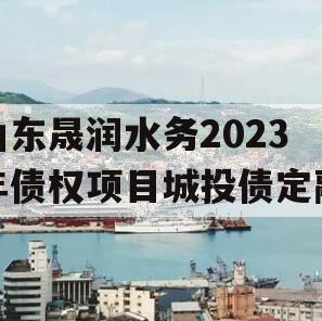 山东晟润水务2023年债权项目城投债定融