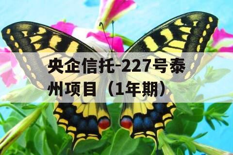 央企信托-227号泰州项目（1年期）