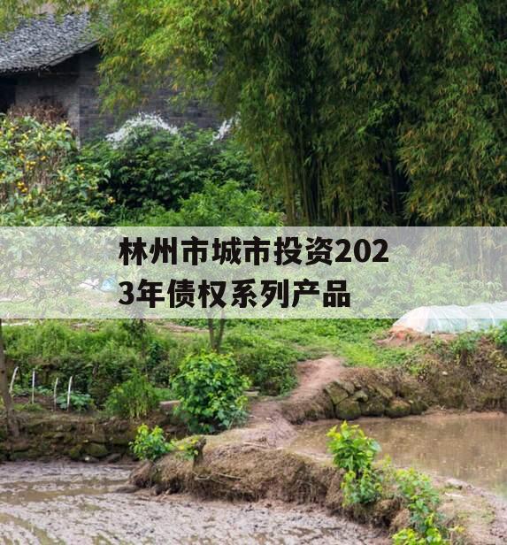 林州市城市投资2023年债权系列产品