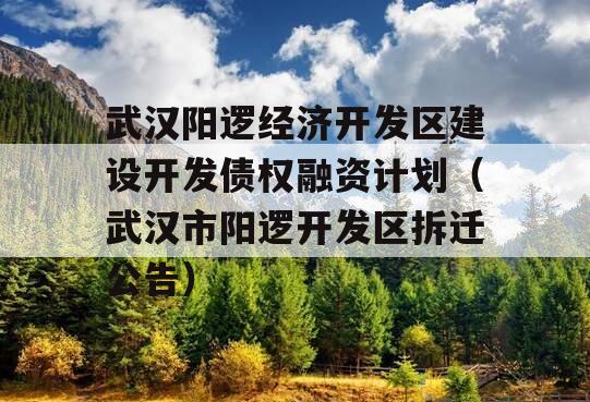 武汉阳逻经济开发区建设开发债权融资计划（武汉市阳逻开发区拆迁公告）