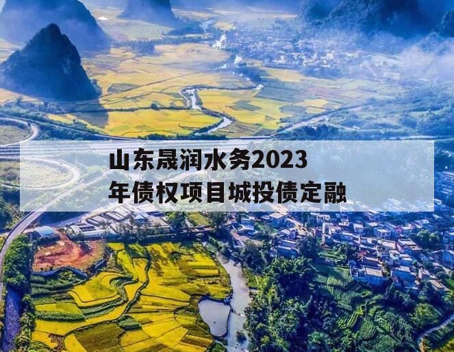 山东晟润水务2023年债权项目城投债定融