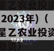 江油星乙农业投资债权资产(2023年)（江油星乙农业投资有限公司融资）