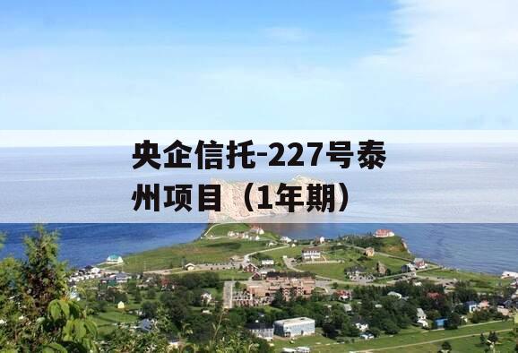 央企信托-227号泰州项目（1年期）