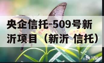 央企信托-509号新沂项目（新沂 信托）