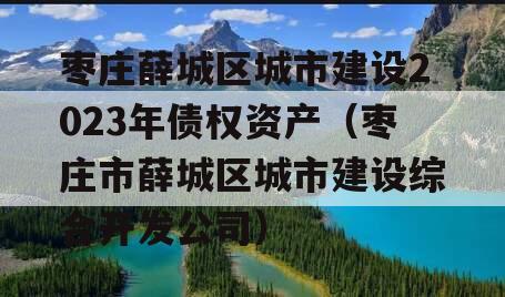 枣庄薛城区城市建设2023年债权资产（枣庄市薛城区城市建设综合开发公司）