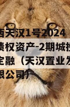 陕西天汉1号2024年债权资产-2期城投债定融（天汉置业发展有限公司）