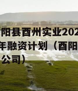 酉阳县酉州实业2024年融资计划（酉阳实业公司）