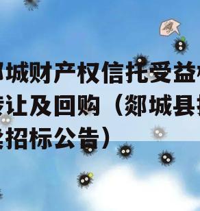 郯城财产权信托受益权转让及回购（郯城县拍卖招标公告）