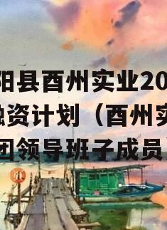 酉阳县酉州实业2024融资计划（酉州实业集团领导班子成员）