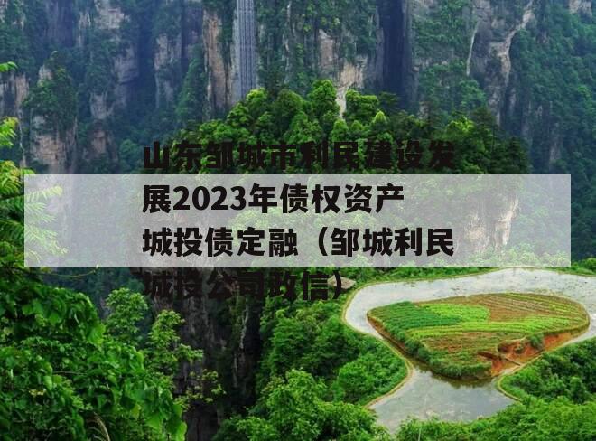 山东邹城市利民建设发展2023年债权资产城投债定融（邹城利民城投公司政信）