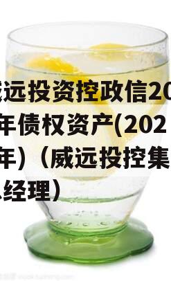 威远投资控政信2024年债权资产(2024年)（威远投控集团总经理）