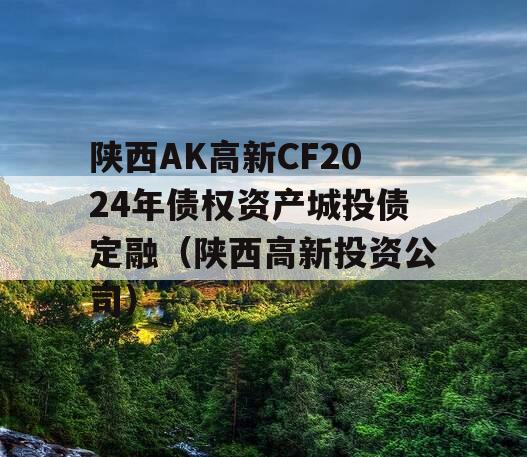 陕西AK高新CF2024年债权资产城投债定融（陕西高新投资公司）