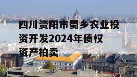 四川资阳市蜀乡农业投资开发2024年债权资产拍卖